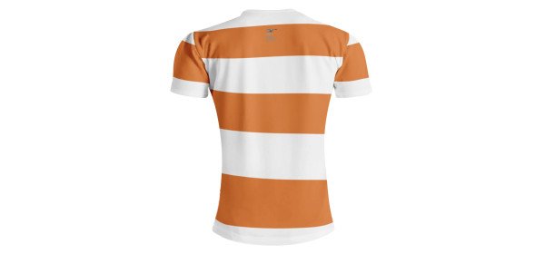 Cheetahs Rugby Tshirts